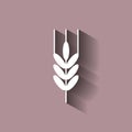 Ears of wheat, cereal. Ear of oats. rye ears. Icon with shadow d Royalty Free Stock Photo