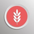 Ears of wheat, cereal. Ear of oats. rye ears. Vector icon illustration on a sticker with shadow. Royalty Free Stock Photo