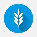 Ears of wheat, cereal vector icon. Ear of oats. rye ears with a Royalty Free Stock Photo