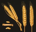 Ears of wheat. 3d vector icon set Royalty Free Stock Photo