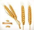 Ears of wheat. 3d vector icon set Royalty Free Stock Photo