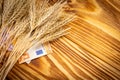 Ears of wheat and euro paper money on a wooden background. wheat crisis and record high prices for bakery products Royalty Free Stock Photo