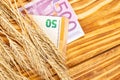 Ears of wheat and euro paper money on a wooden background. wheat crisis and record high prices for bakery products Royalty Free Stock Photo