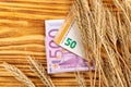 Ears of wheat and euro paper money on a wooden background. wheat crisis and record high prices for bakery products Royalty Free Stock Photo