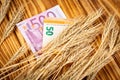 Ears of wheat and euro paper money on a wooden background. wheat crisis and record high prices for bakery products Royalty Free Stock Photo