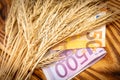 Ears of wheat and euro paper money on a wooden background. wheat crisis and record high prices for bakery products Royalty Free Stock Photo