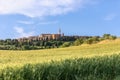 Ears of wheat fill the field from end to end and row of tall cypresses is the ancient city of Pienza. Tuscany, Italy