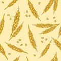 Ears of wheat hand drawn seamless pattern. Whole grain, natural, organic background for bakery package, bread products. Royalty Free Stock Photo