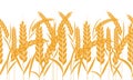 Ears of wheat horizontal border seamless. Gold color grain with cartoon style. Vector illustration. Royalty Free Stock Photo