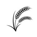 Ears of wheat icon set. Vector elements for design Royalty Free Stock Photo