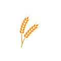 Ears of wheat. Logo. Vector illustration on white isolated background