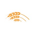 Ears of wheat. Logo. Vector illustration on white isolated background