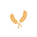 Ears of wheat. Logo. Vector illustration on white isolated background