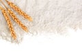 Ears of wheat and pile of flour isolated on white background with copy space for your text. Top view. Flat lay