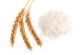 Ears of wheat and pile of flour isolated on white background. Top view. Flat lay