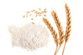 Ears of wheat and pile of flour isolated on white background. Top view. Flat lay