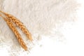 Ears of wheat and pile of flour on white background with copy space for your text. Top view. Flat lay
