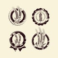 Ears of wheat and rye label and element set. Vector Royalty Free Stock Photo