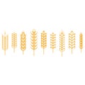 Ears of wheat, rye, rice. Cereals Design Elements. Royalty Free Stock Photo
