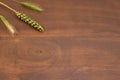 Ears of wheat and rye on wooden surface Royalty Free Stock Photo