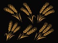 Ears of wheat set. Design elements for packaging and labeling of baked goods, bread, pasta, flour Royalty Free Stock Photo