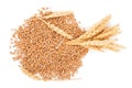 Ears of wheat and wheat grains Royalty Free Stock Photo