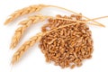 Ears of wheat and wheat grains Royalty Free Stock Photo