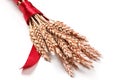 Ears of wheat Royalty Free Stock Photo