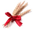 Ears of wheat Royalty Free Stock Photo