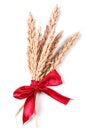 Ears of wheat Royalty Free Stock Photo
