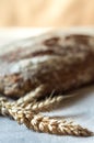 Ears of wheat and whole grain bread Royalty Free Stock Photo