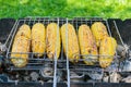 Ears of yellow corn grilled outdoors, close-up Royalty Free Stock Photo