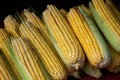 Ears of yellow tender corn