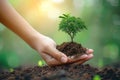 Earth admiration Tree in human hand on a nature background