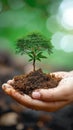 Earth admiration Tree in human hand on a nature background