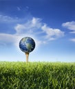 Earth as golf ball on tee with grass, blue sky Royalty Free Stock Photo