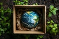 Earth in a Box: Handle with Care #SustainableFuture. Concept Eco-friendly Packaging, Sustainable