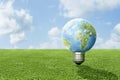 Earth bulb on the green grass Royalty Free Stock Photo