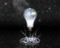 Earth bulb Royalty Free Stock Photo