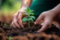 Earth care Person planting saplings, fostering environmental sustainability and growth