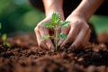 Earth care Person planting saplings, fostering environmental sustainability and growth