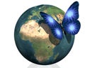 Earth with cool butterfly colorful creative back Royalty Free Stock Photo