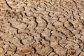 Earth cracked by drought