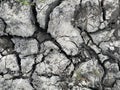 Earth cracked from drought and lack of rain. Concept: natural disasters, global warming. Cracks in the ground from lack of water Royalty Free Stock Photo