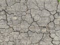 Earth cracked from drought and lack of rain. Concept: natural disasters, global warming. Cracks in the ground from lack of water Royalty Free Stock Photo