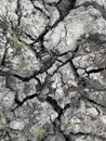 Earth cracked from drought and lack of rain. Concept: natural disasters, global warming. Cracks in the ground from lack of water Royalty Free Stock Photo