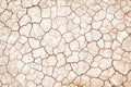 Earth cracked  texture drought land season background top view Royalty Free Stock Photo