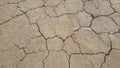 The earth crackled from drought, the soil without plants.