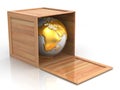 Earth in crate Royalty Free Stock Photo