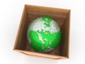 Earth in crate Royalty Free Stock Photo